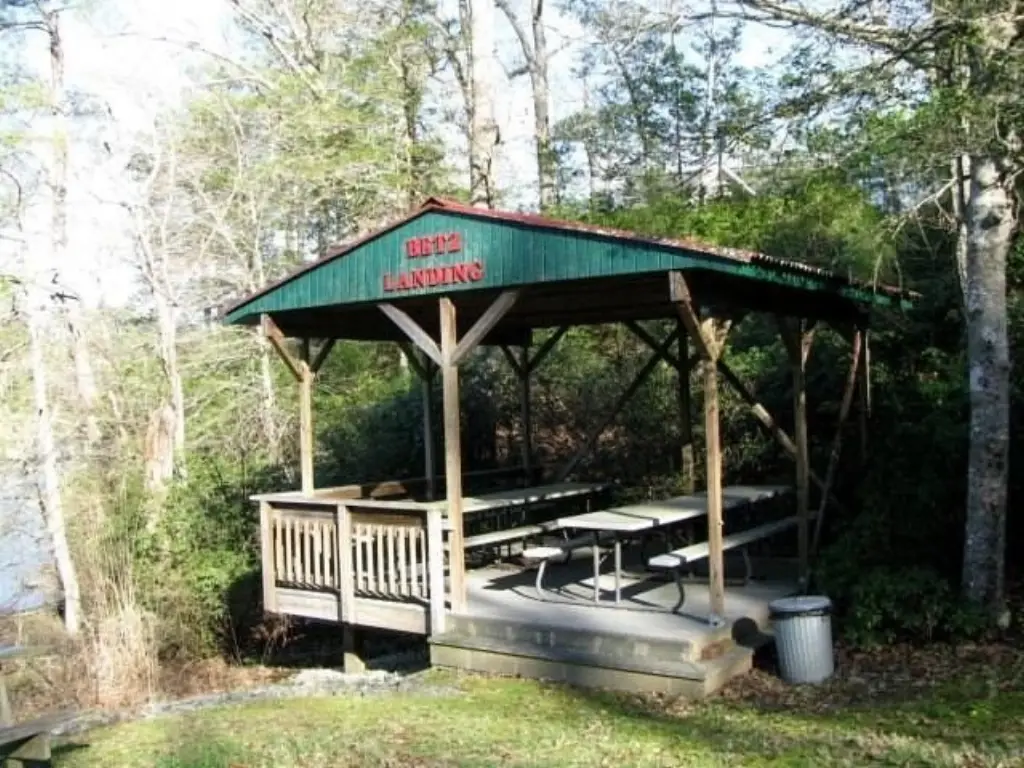 Picture 10