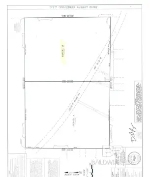 Stockton Land with Regeneration Pines