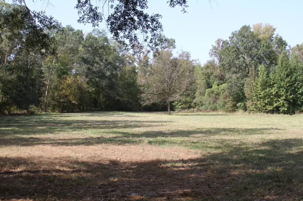 Picture 11