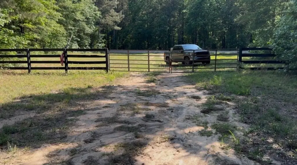 Picture 21