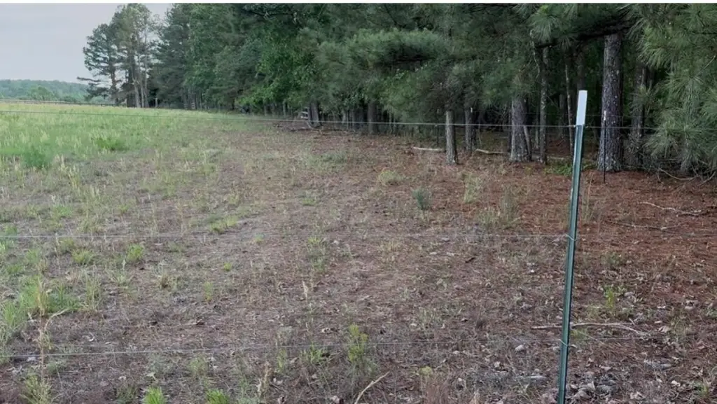 Picture 14
