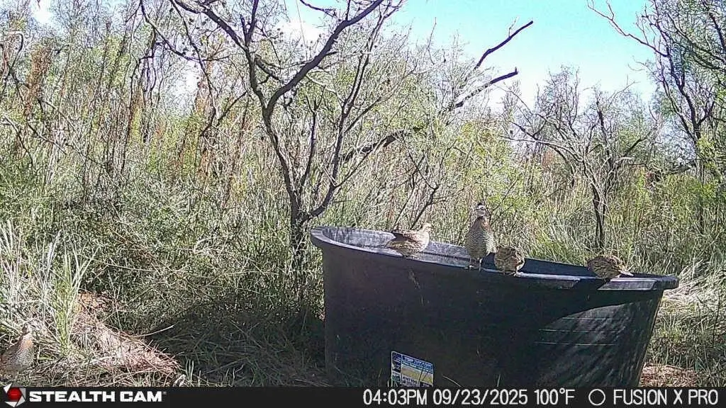 Picture 5