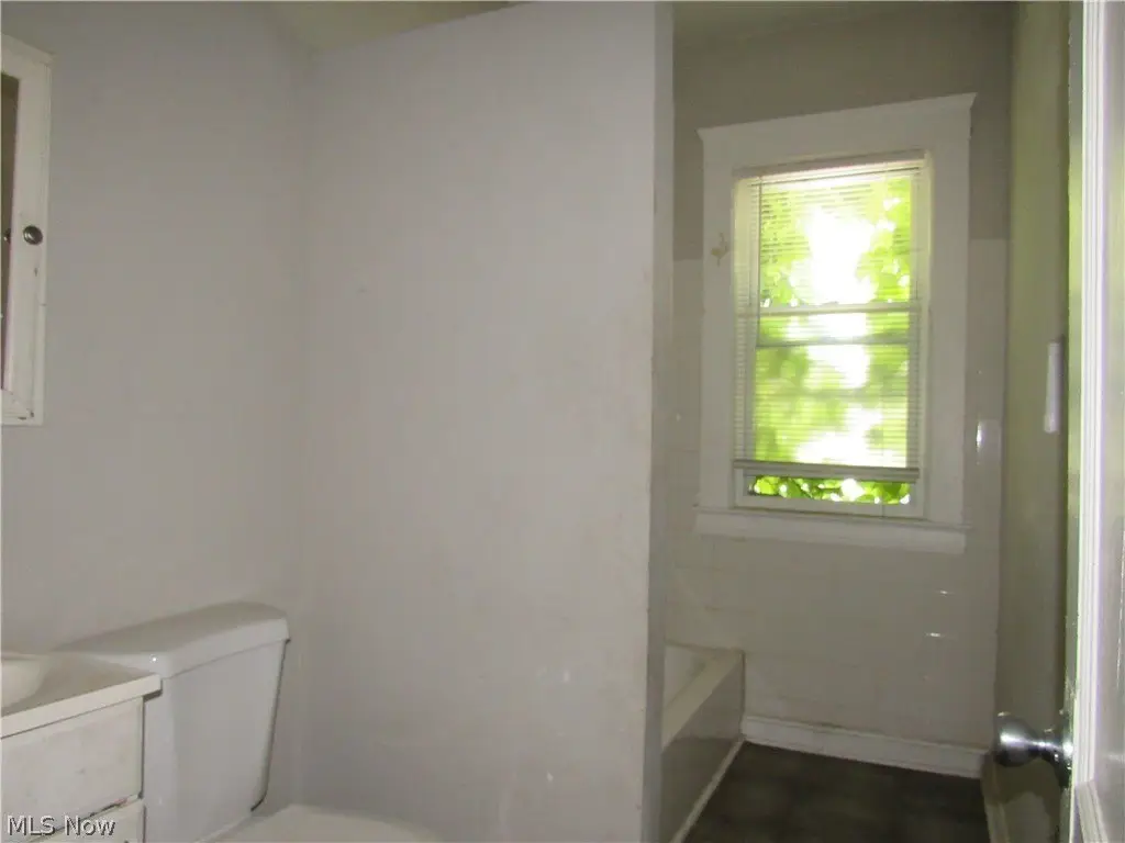 Picture 24