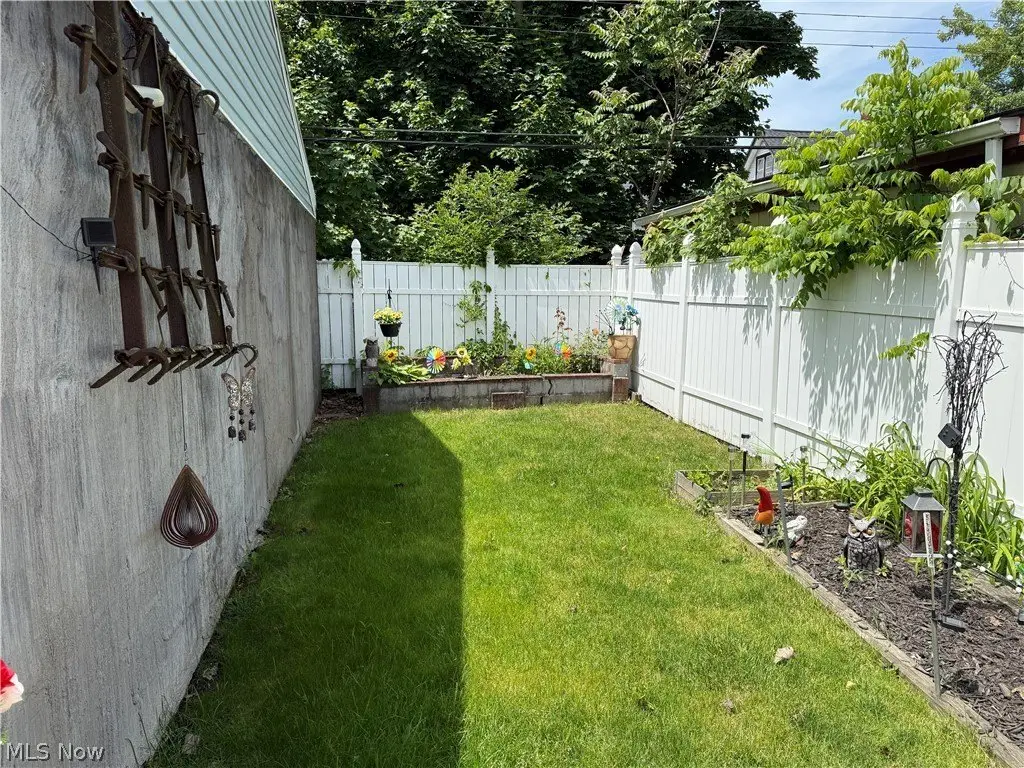 Picture 5