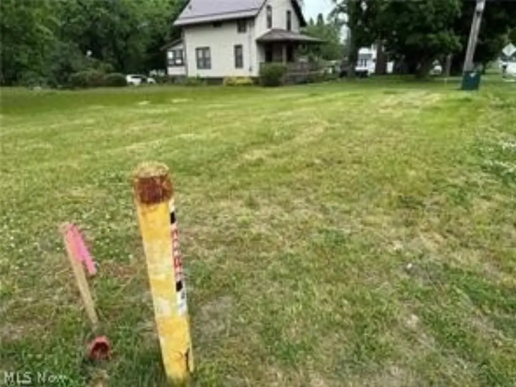 Picture 7