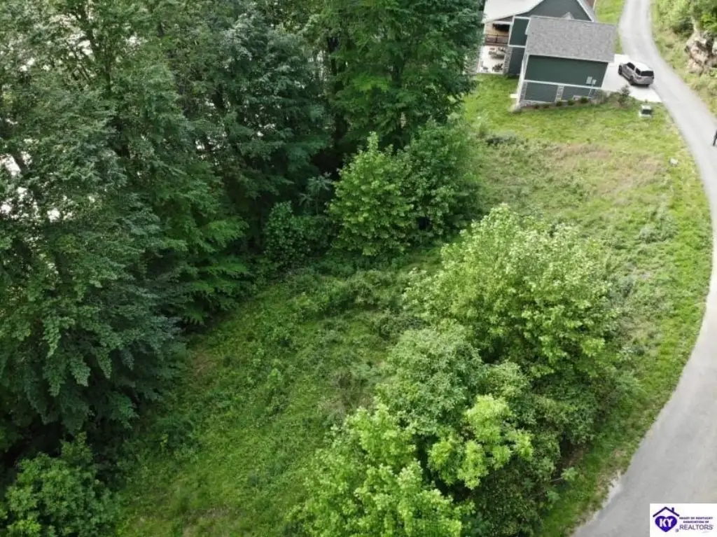 Picture 5