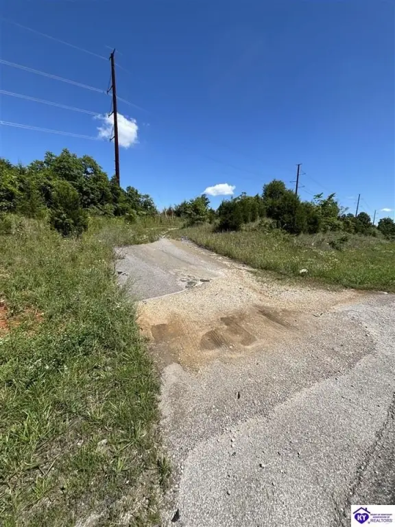 Picture 4