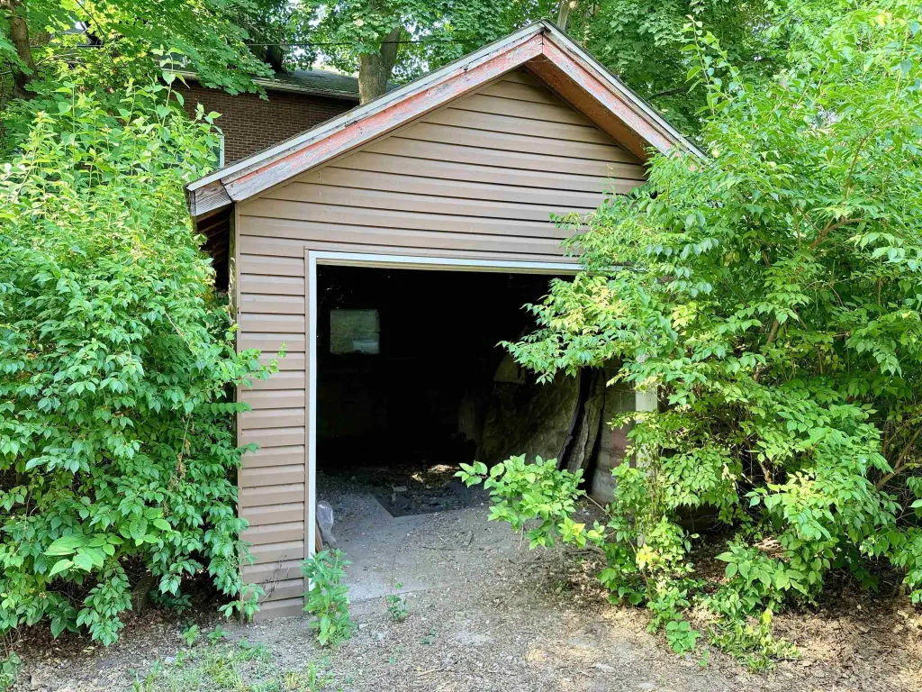Picture 21