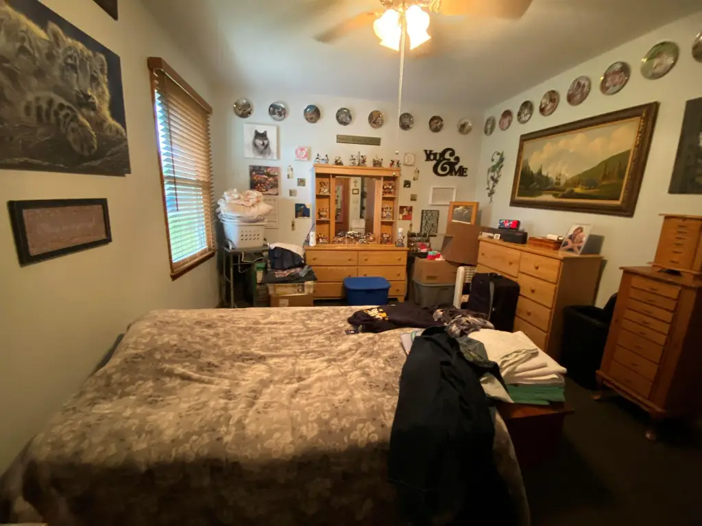 Picture 20