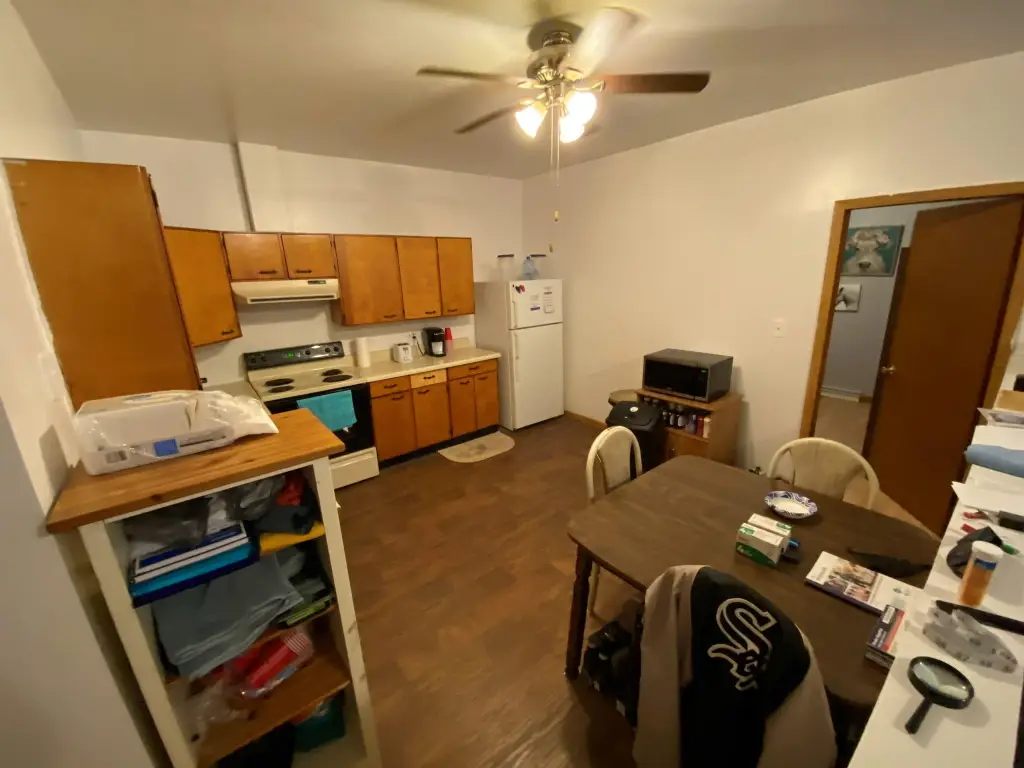 Picture 8