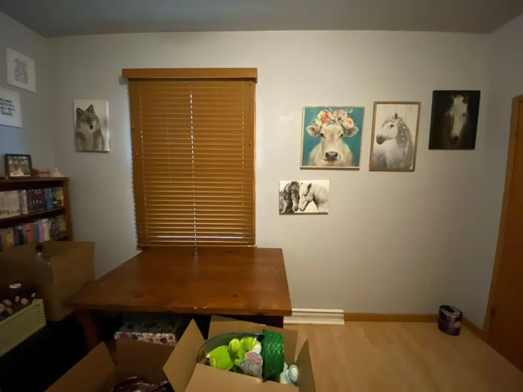 Picture 12