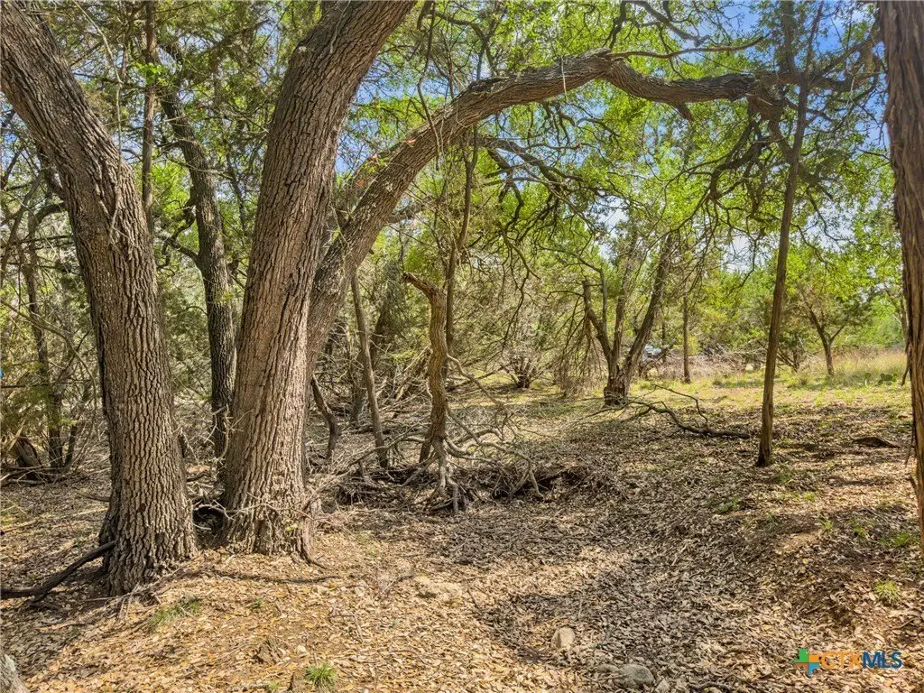 Picture 23