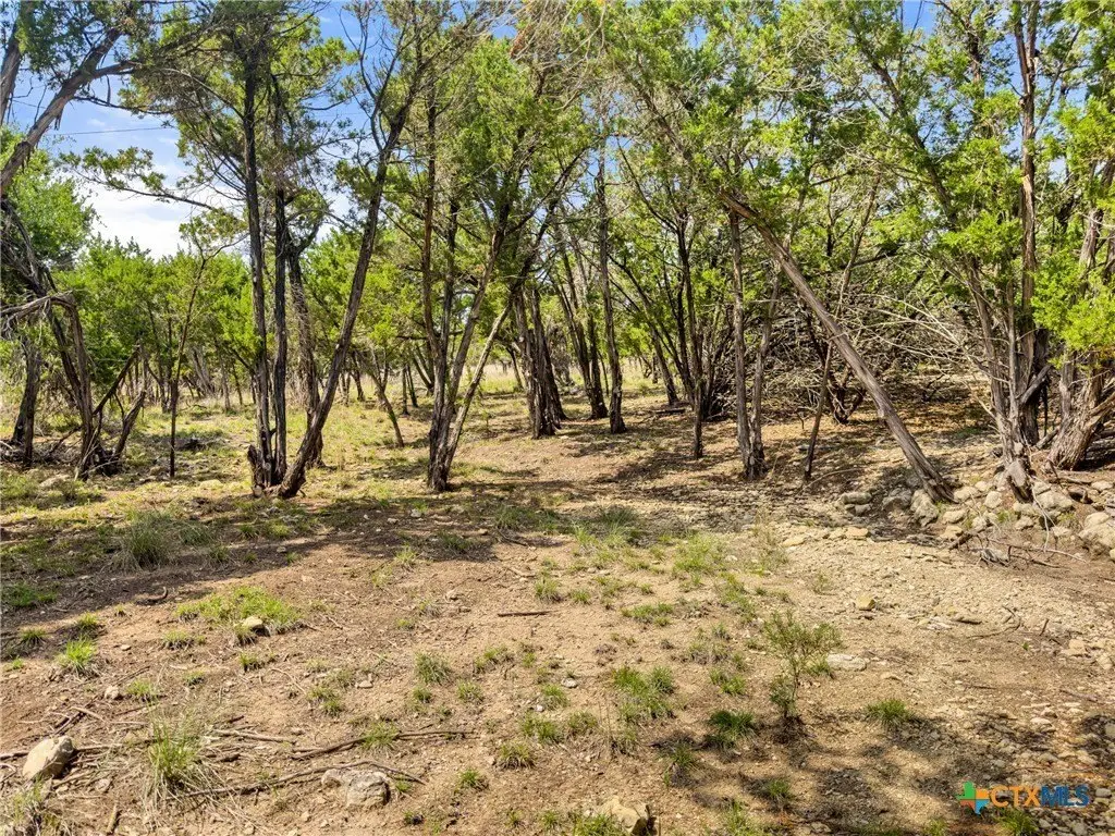 Picture 16