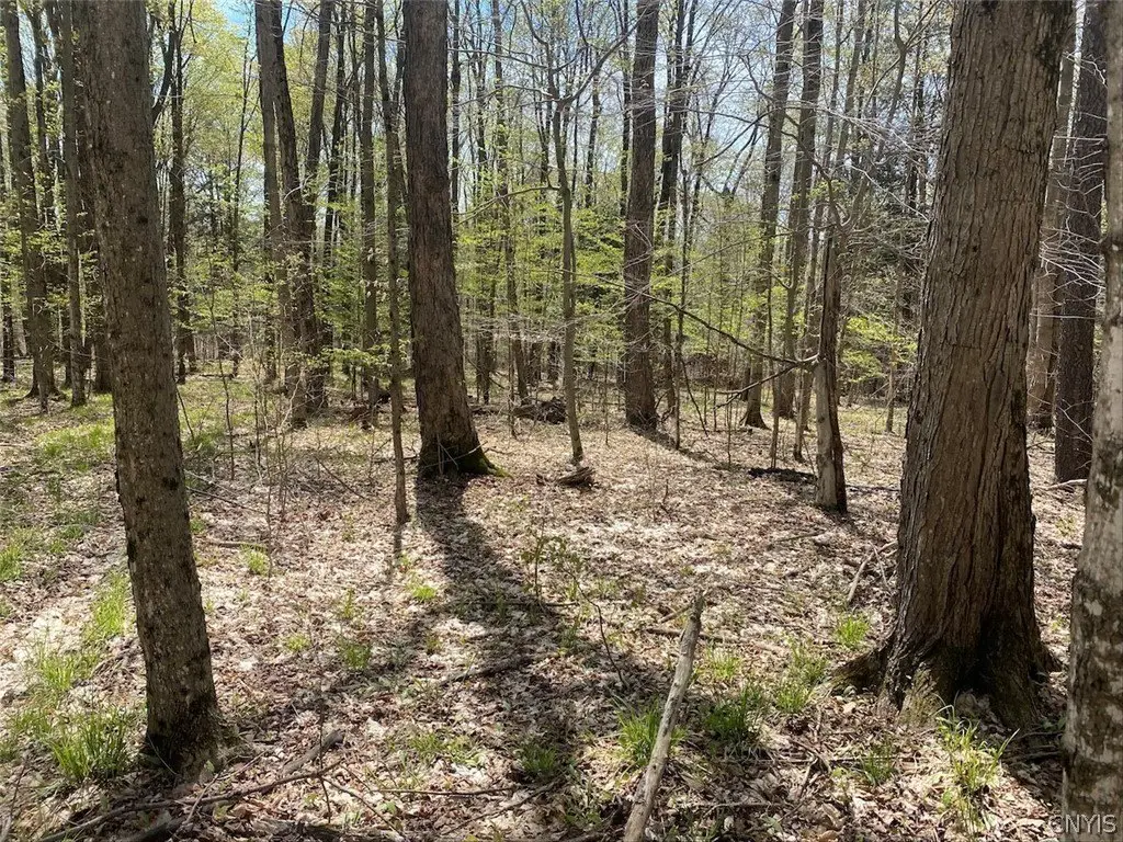 Picture 18