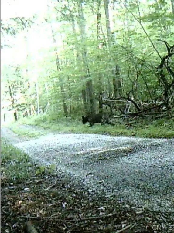 Picture 25