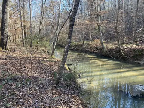 Secluded 71-Acre Land Tract