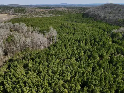 86 Acres of Vacant Land