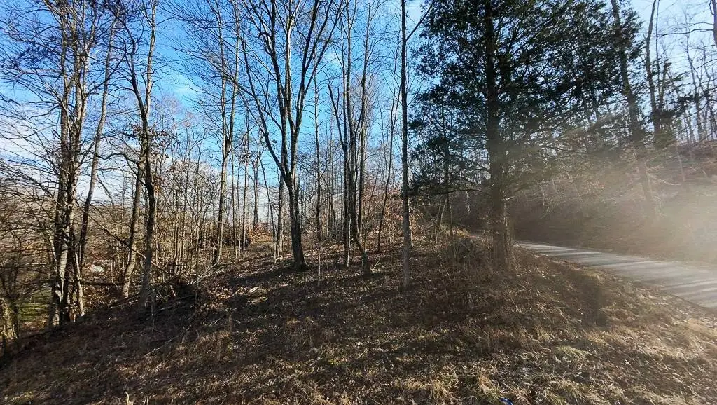 Picture 6