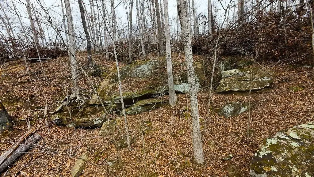 Picture 6