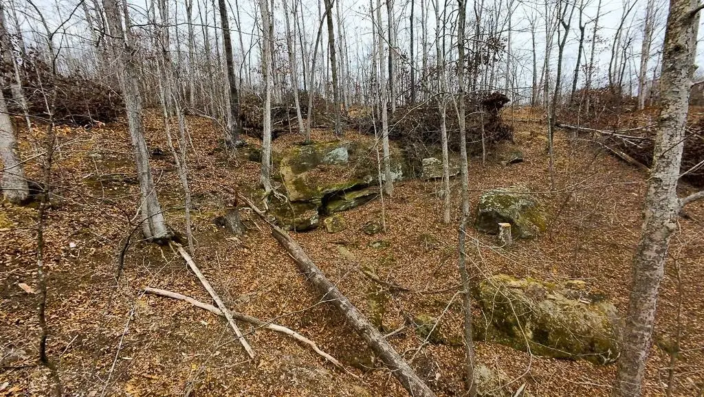 Picture 5