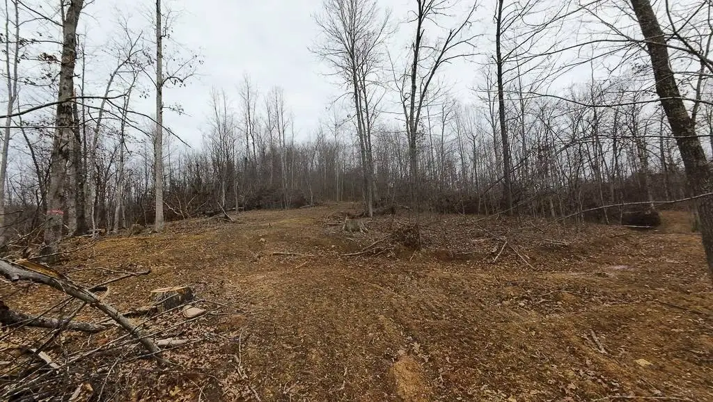Picture 4