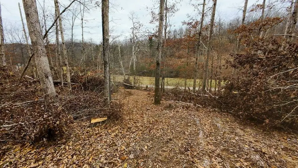 Picture 8
