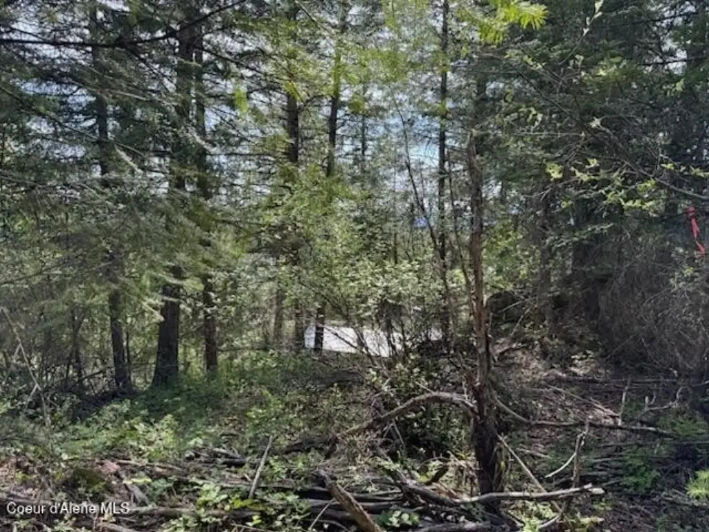 Picture 19