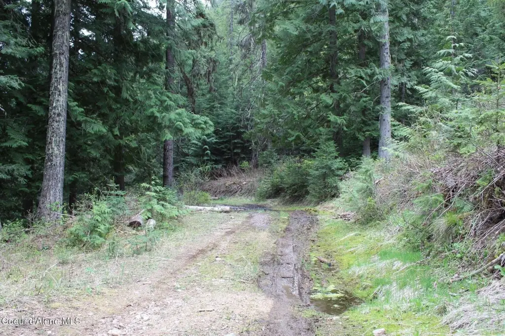 Picture 28