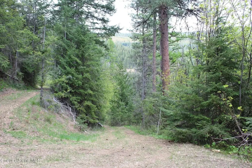 Picture 26