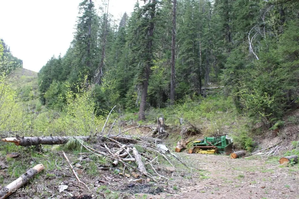 Picture 27