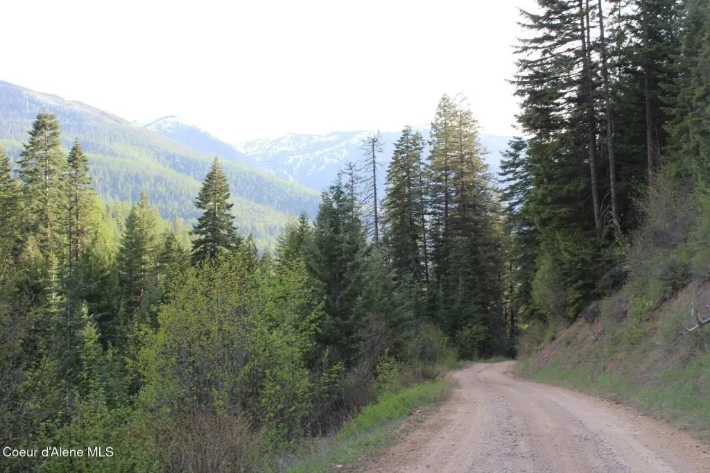 Picture 30