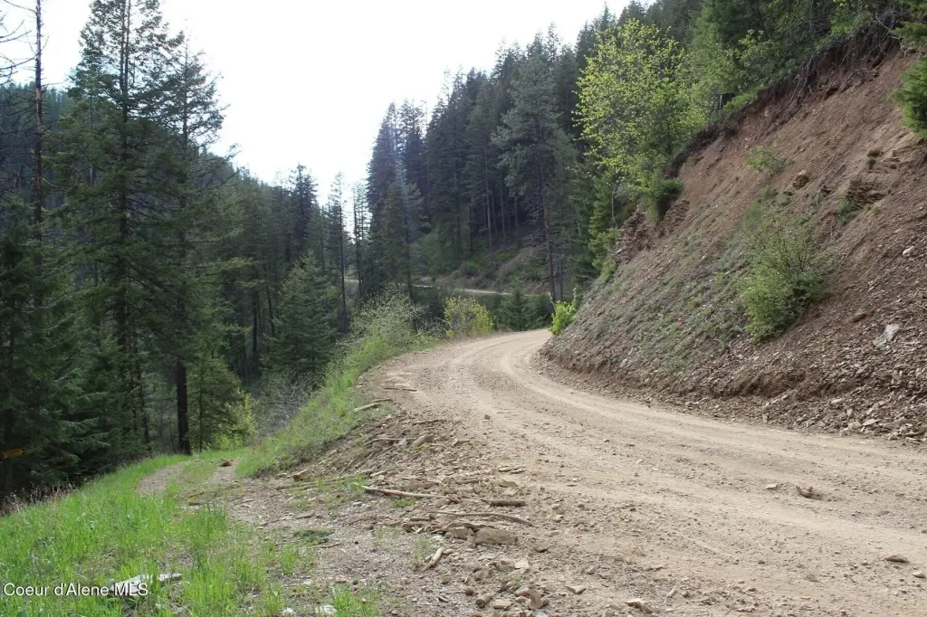 Picture 23