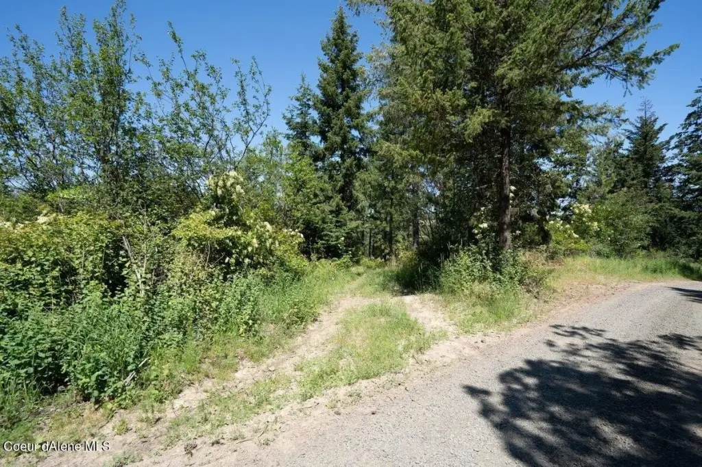 Picture 4