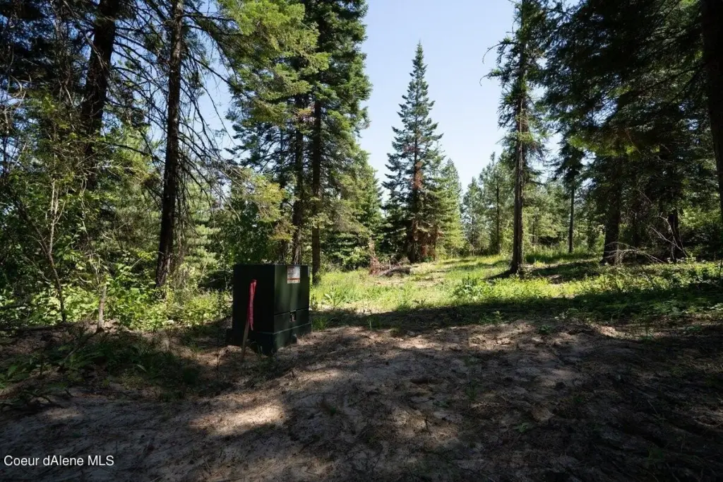 Picture 3