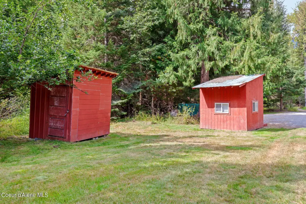 Picture 8