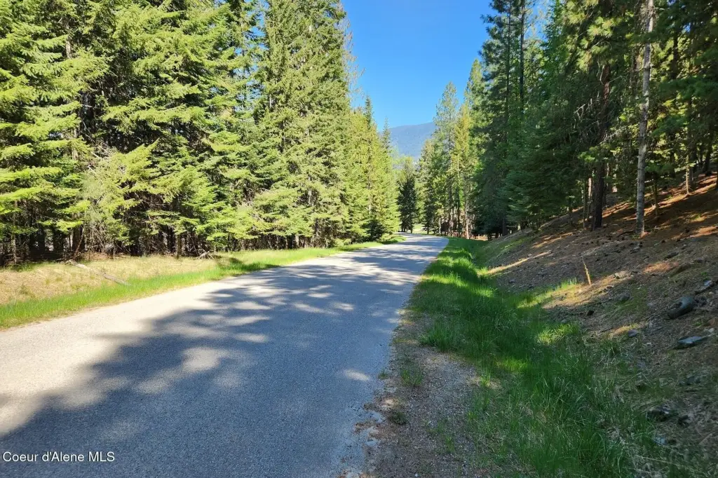 Picture 27