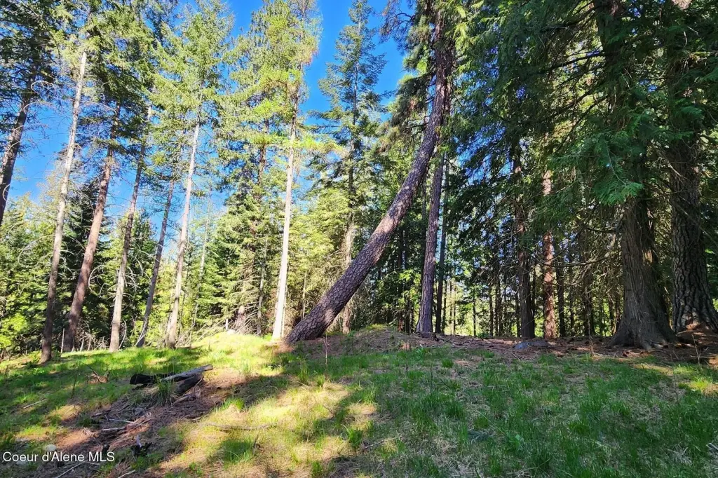 Picture 22