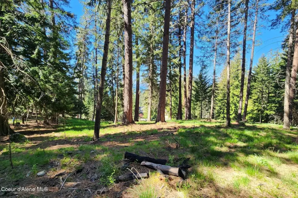 Picture 21