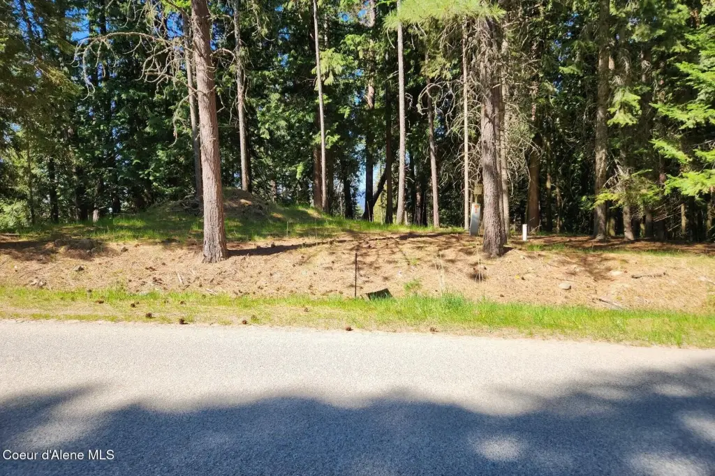 Picture 26