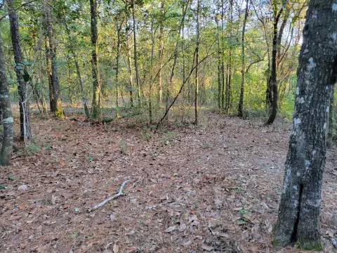 Ponce De Leon Land Retreat