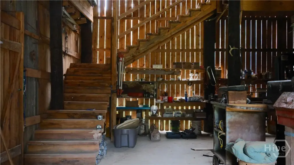 Picture 23