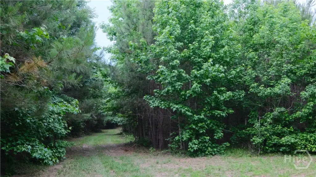 Picture 32