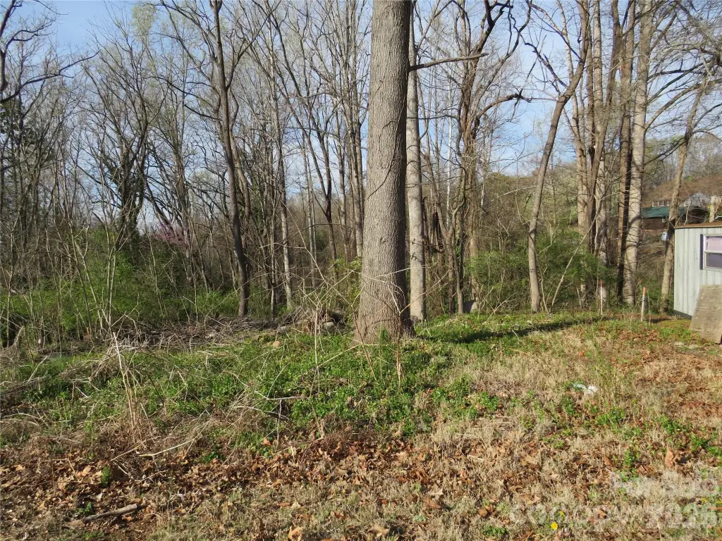 Picture 11