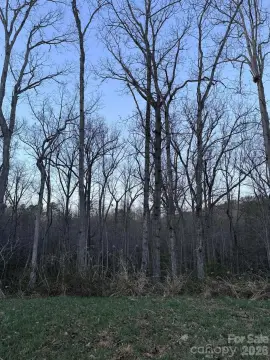 Wooded Lot in Connelly Springs