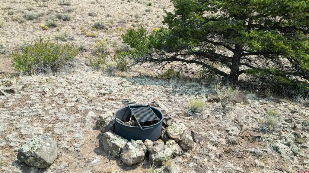 Picture 12