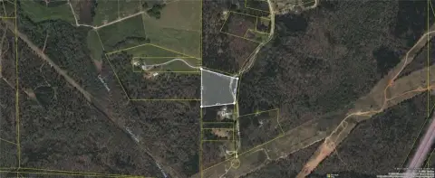 Wooded Land Parcel in Palmetto
