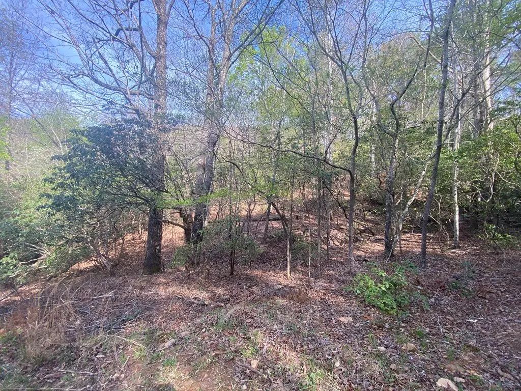 Picture 17