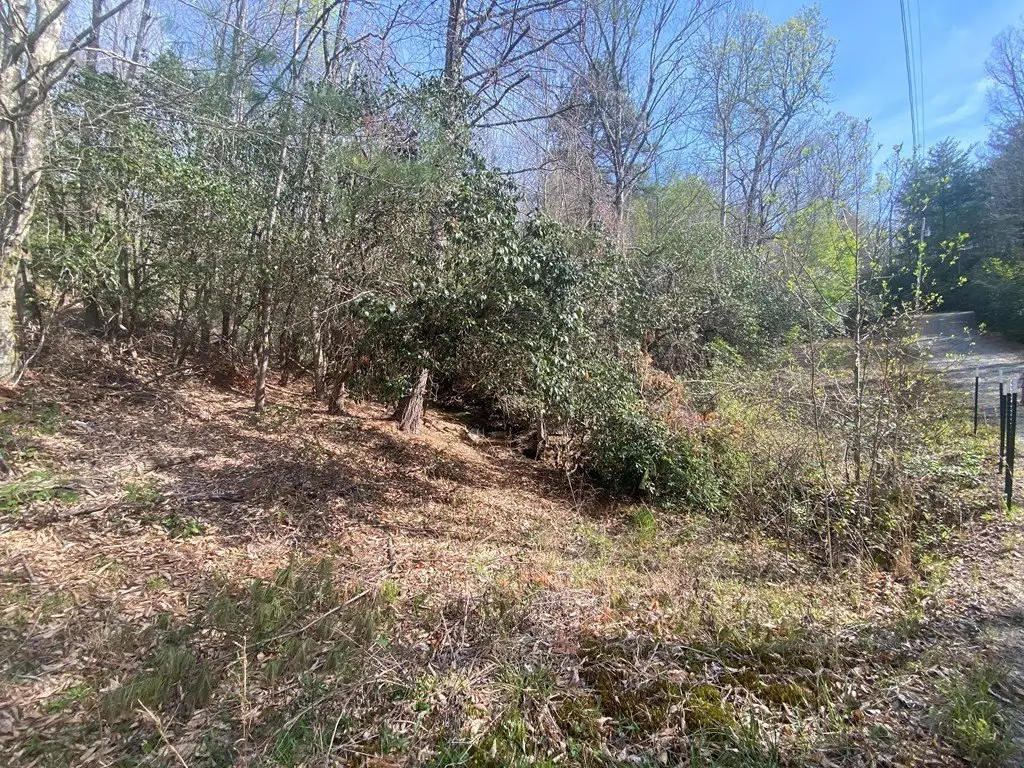 Picture 23