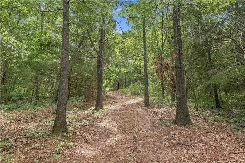 Hunting Land with Farmhouse