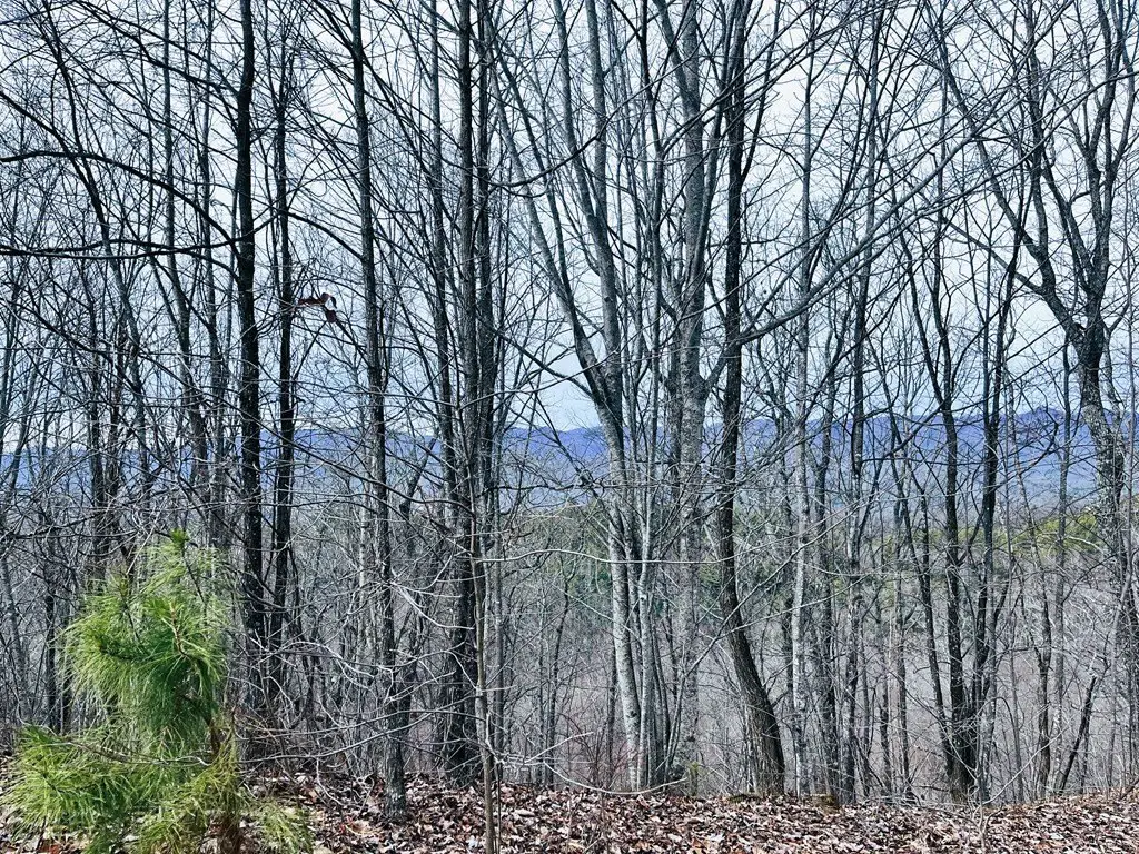 Picture 4
